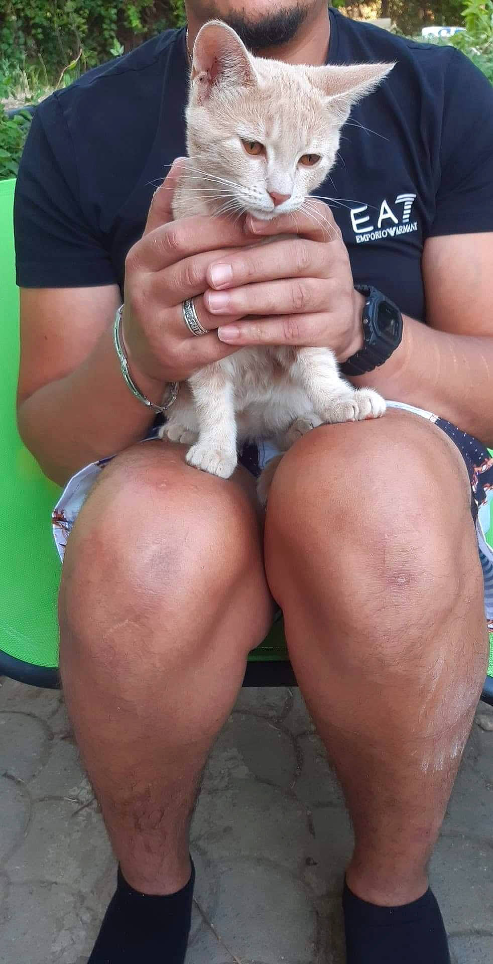 Carla a rejoint le concours — aidez-le/la à gagner de superbes lots ! carnivore, cat, felidae, human_leg, leg, small_to_medium_sized_cats, thigh