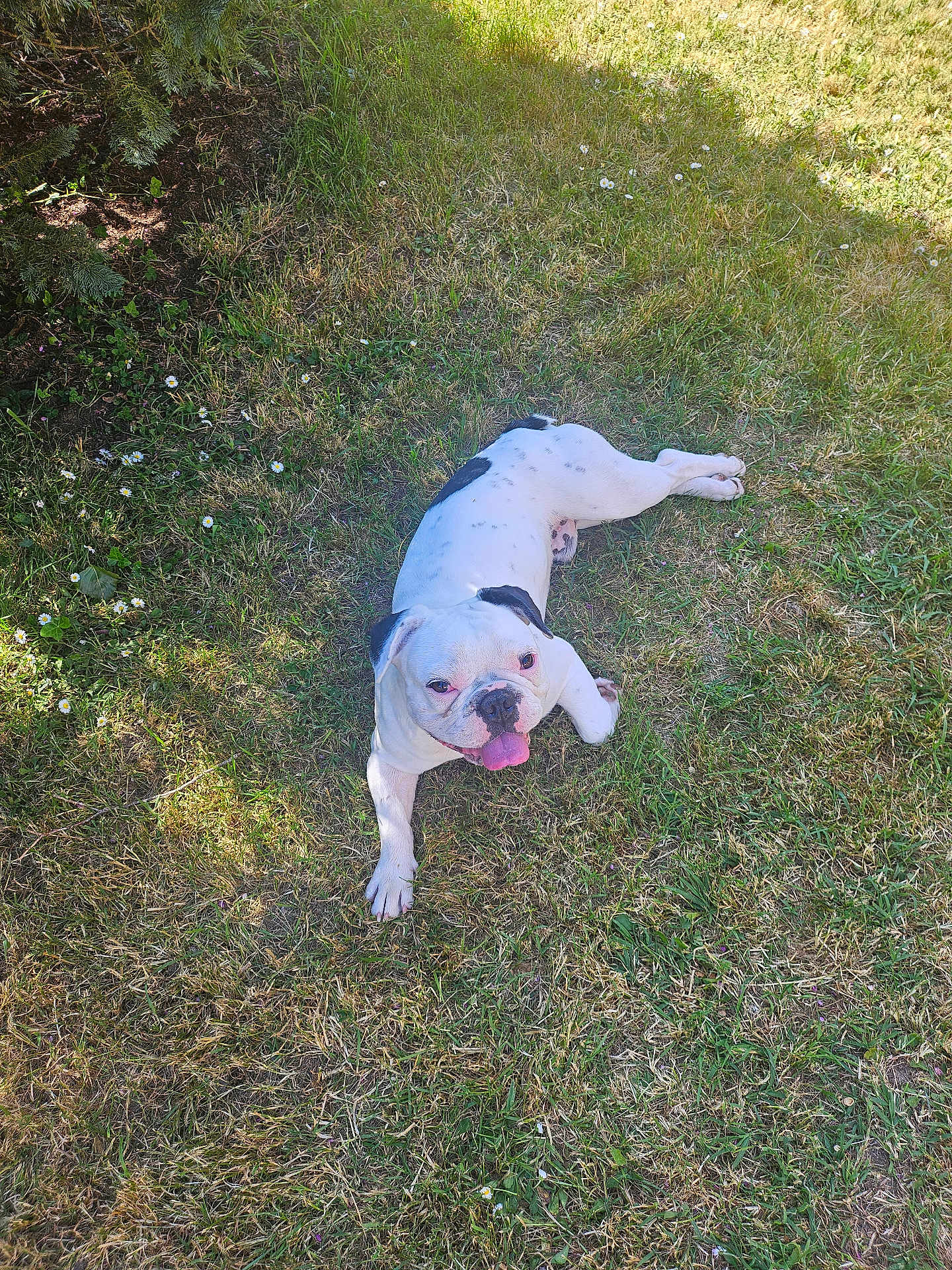 Vasco