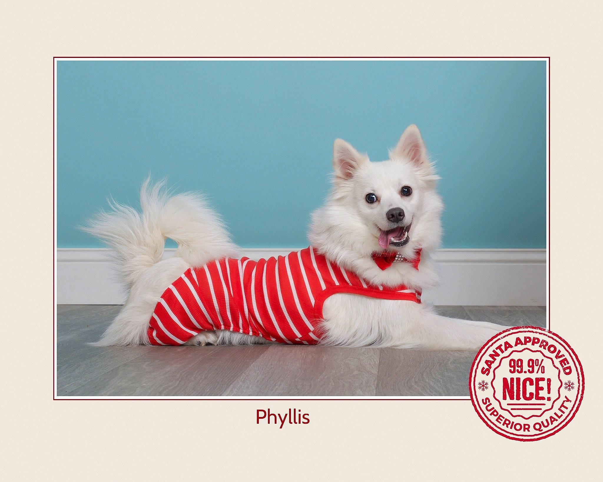 Phyllis joined the competition — help win amazing prizes! art, canidae, carmine, carnivore, companion_dog, dog, dog_breed, dog_supply, event, fashion_accessory, fawn, fictional_character, font, fur, photo_caption, picture_frame, rectangle, sporting_group, tail, toy_dog
