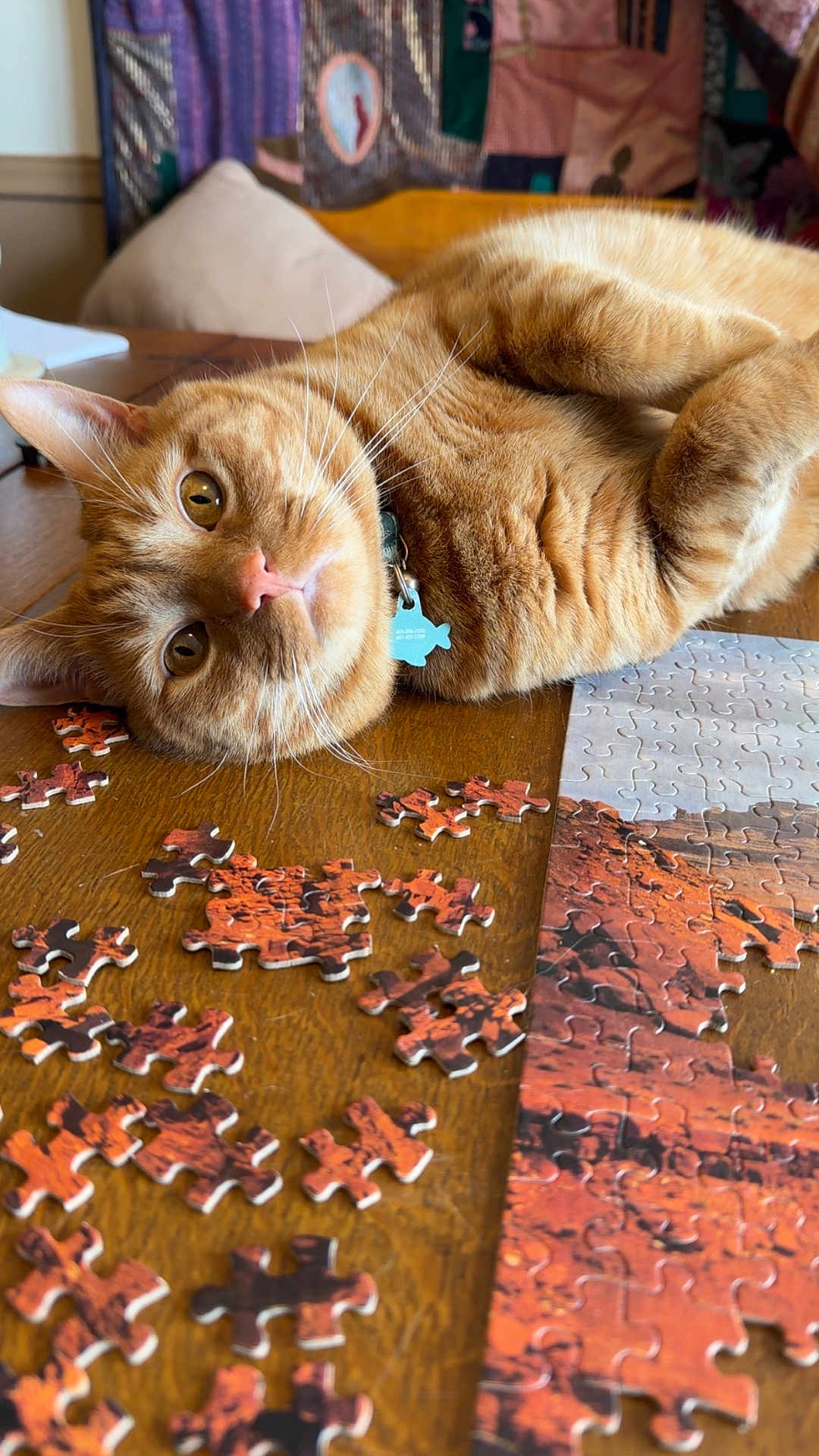 Garbage joined the competition — help win amazing prizes! cat, ginger_cat, tabby, feline, pet, puzzle_pieces, jigsaw_puzzle, wooden_table, collar, id_tag, whiskers, close_up, relaxed, lying_down, indoor, cozy, orange_fur, head_tilt, eye_contact, home_interior
