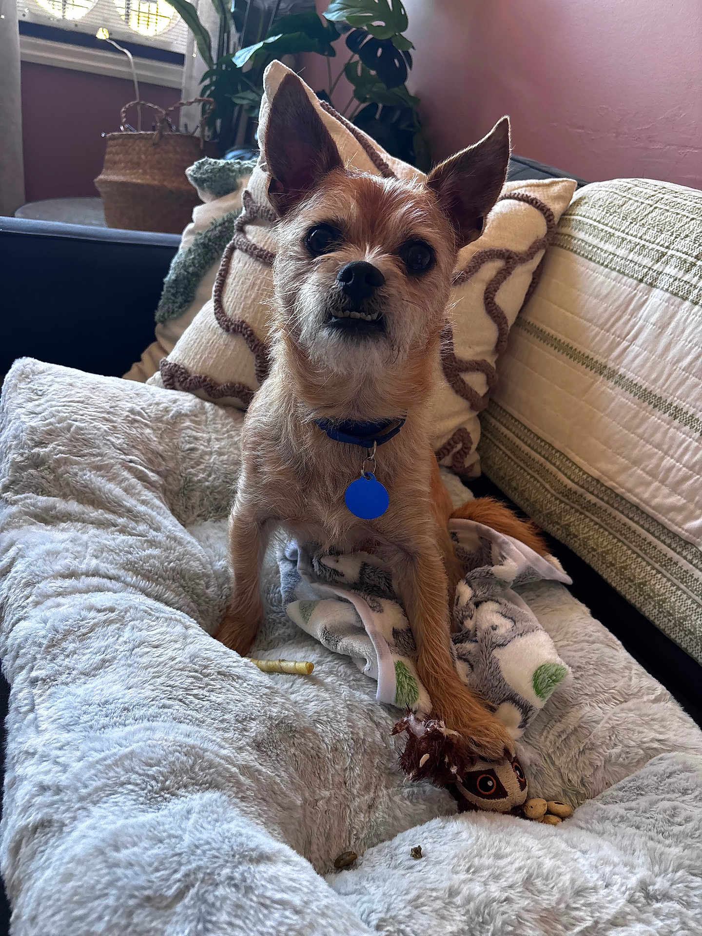 Oscar