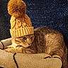 cat, tabby, hat, beanie, pom_pom, knitwear, cat_tree, feline, pet, cozy, indoor, fur, whiskers, ears, resting, cute, warm, texture, background, portrait