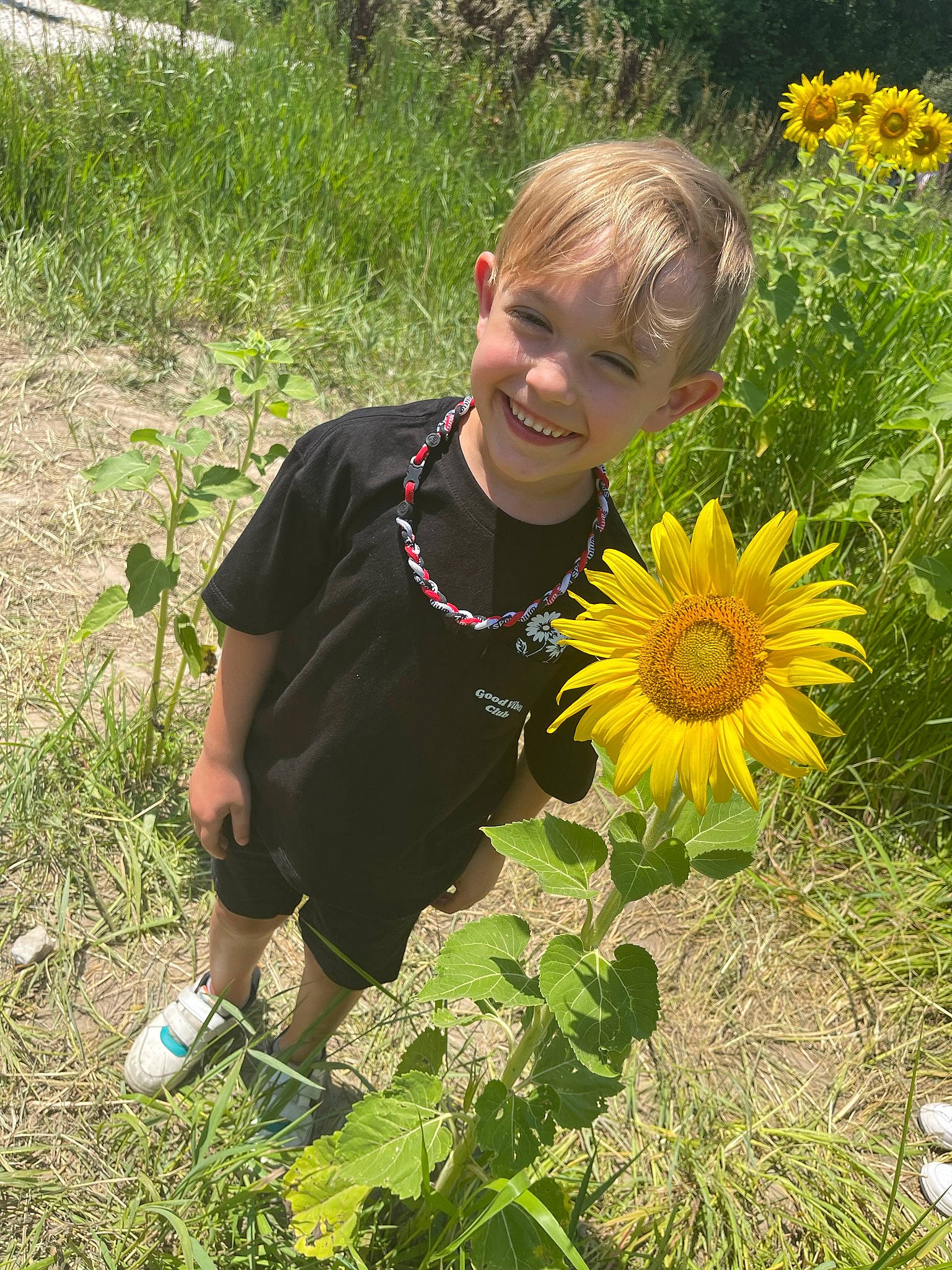 Maddox is registered to the contest to win money with this photo: annual_plant, botany, child, flower, flowering_plant, grass, grass_family, grassland, groundcover, happy, iris, joy, meadow, people_in_nature, person, petal, plant, prairie, smile, sunflower
