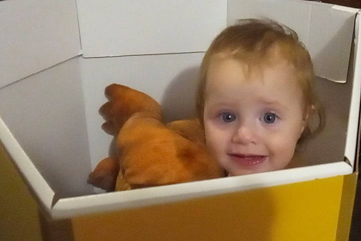 Ernestine is registered to the contest to win money with this photo: baby, baby_products, bathing, carnivore, cheek, chest, child, companion_dog, dog, dog_breed, fawn, happy, liver, nose, person, room, smile, sporting_group, thumb, toddler