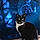 Tux