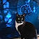 Tux