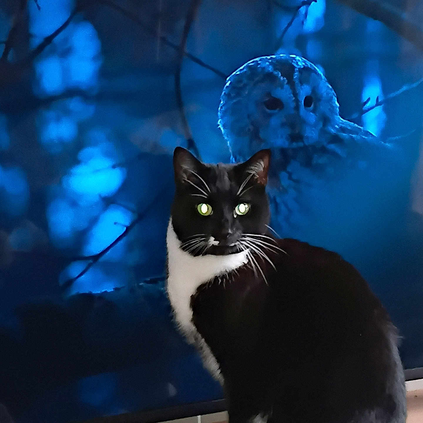 Tux