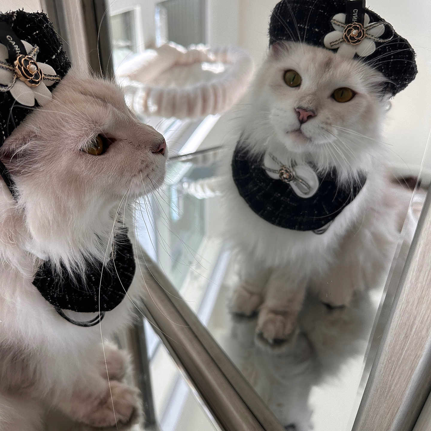 Stormi
