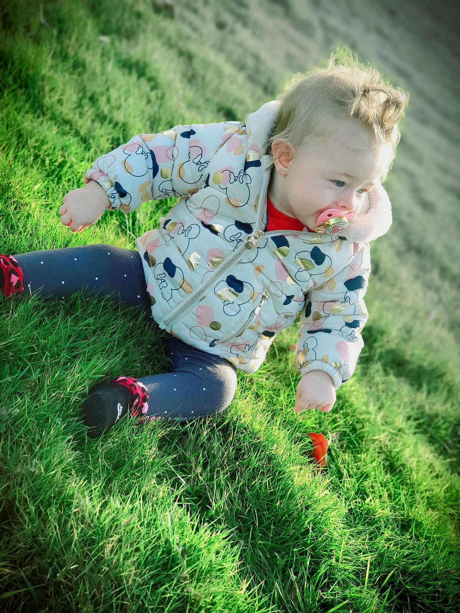 Chelsea a rejoint le concours — aidez-le/la à gagner de superbes lots ! baby, baby_toddler_clothing, child, flash_photography, flooring, fun, grass, grass_family, grassland, happy, lawn, leisure, meadow, pattern, people_in_nature, person, plant, playing_with_kids, recreation, sitting
