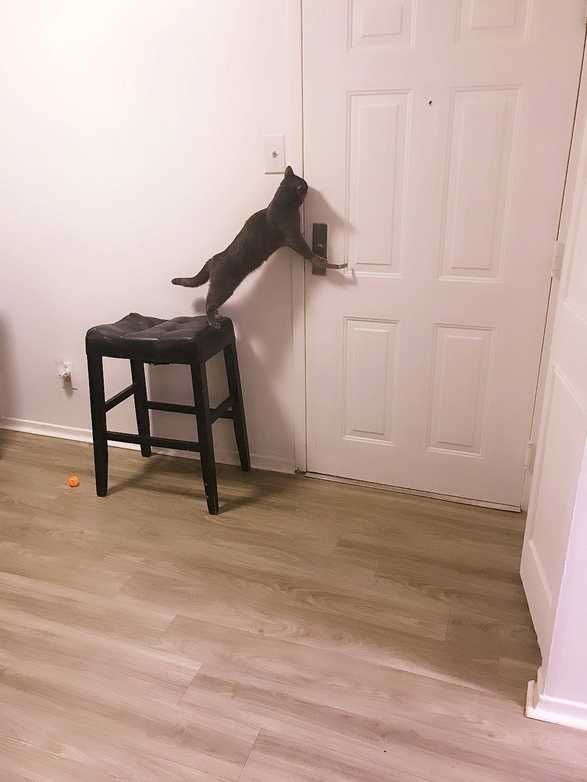 Malaysia joined the competition — help win amazing prizes! balance, chair, comfort, door, fixture, floor, flooring, hardwood, home_door, human_leg, laminate_flooring, pattern, plank, plaster, plywood, room, varnish, wood, wood_flooring, wood_stain