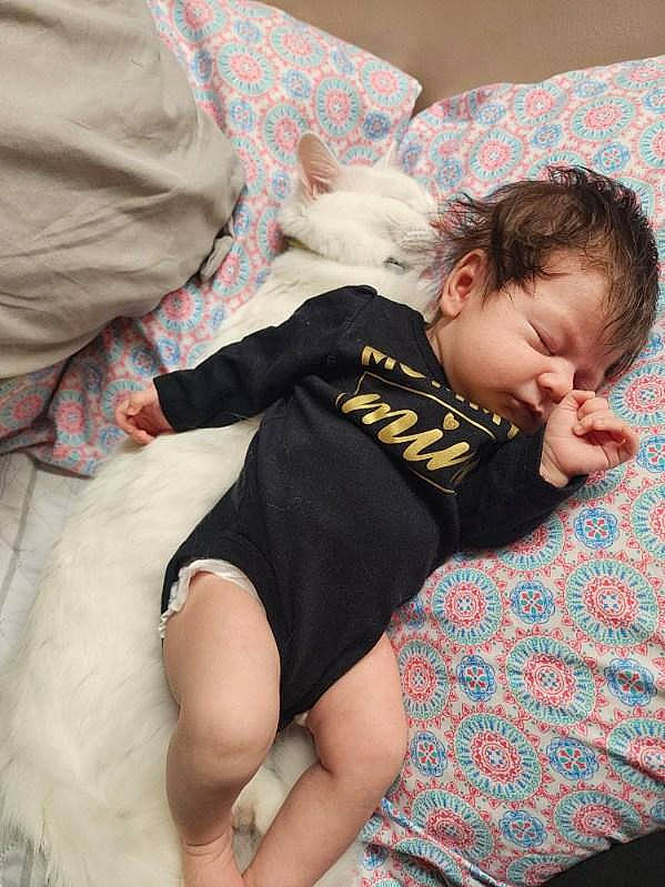 Rosy joined the competition — help win amazing prizes! baby, baby_toddler_clothing, child, comfort, couch, finger, human_body, human_leg, knee, lap, leg, linens, pattern, person, sitting, skin, sleeve, sock, t_shirt, thigh