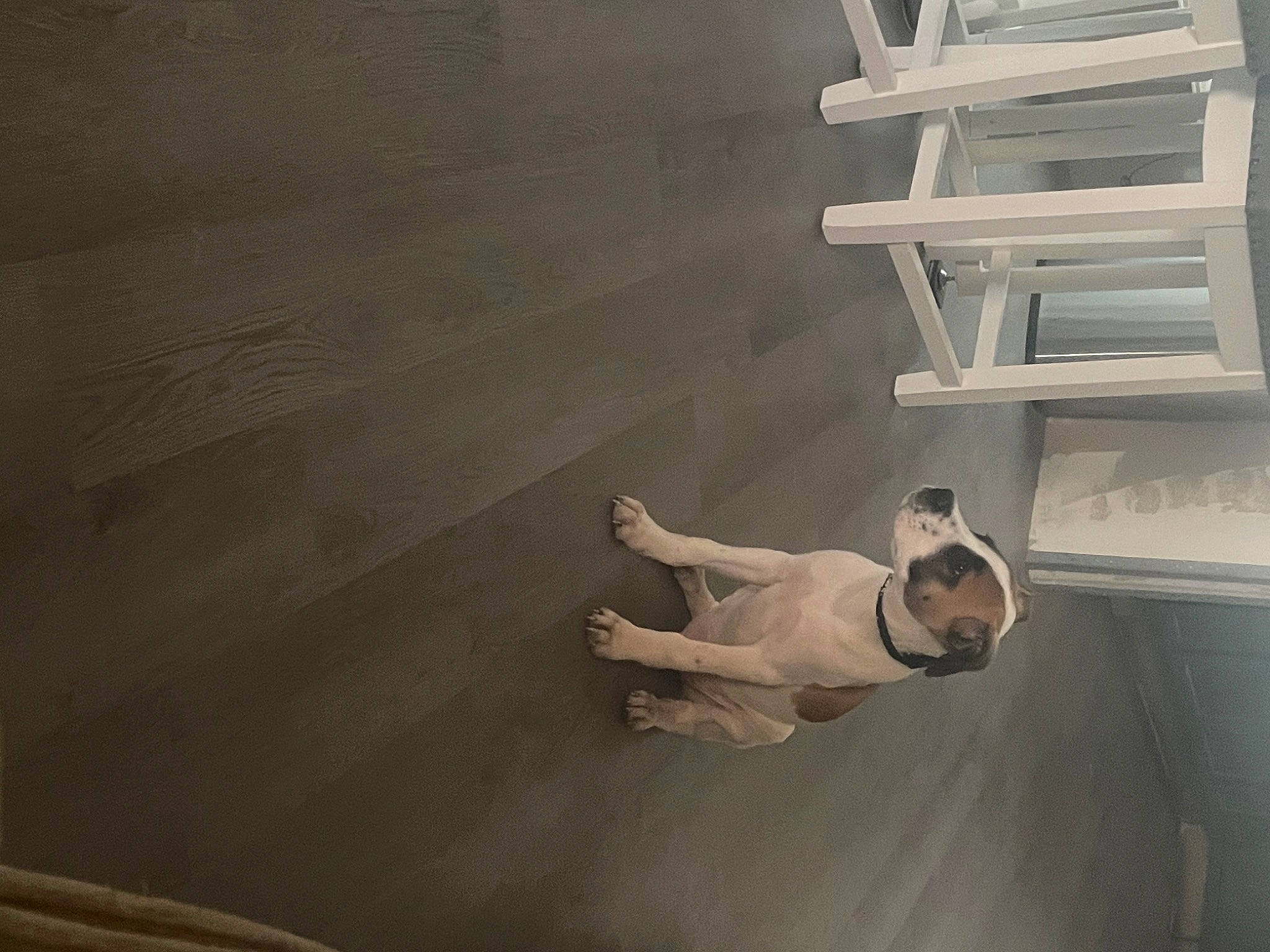 Toby is registered to the contest to win money with this photo: ceiling, elbow, floor, flooring, grey, hardwood, house, human_leg, knee, monochrome, monochrome_photography, plaster, room, shadow, stairs, tints_and_shades, visual_arts, wood, wrist