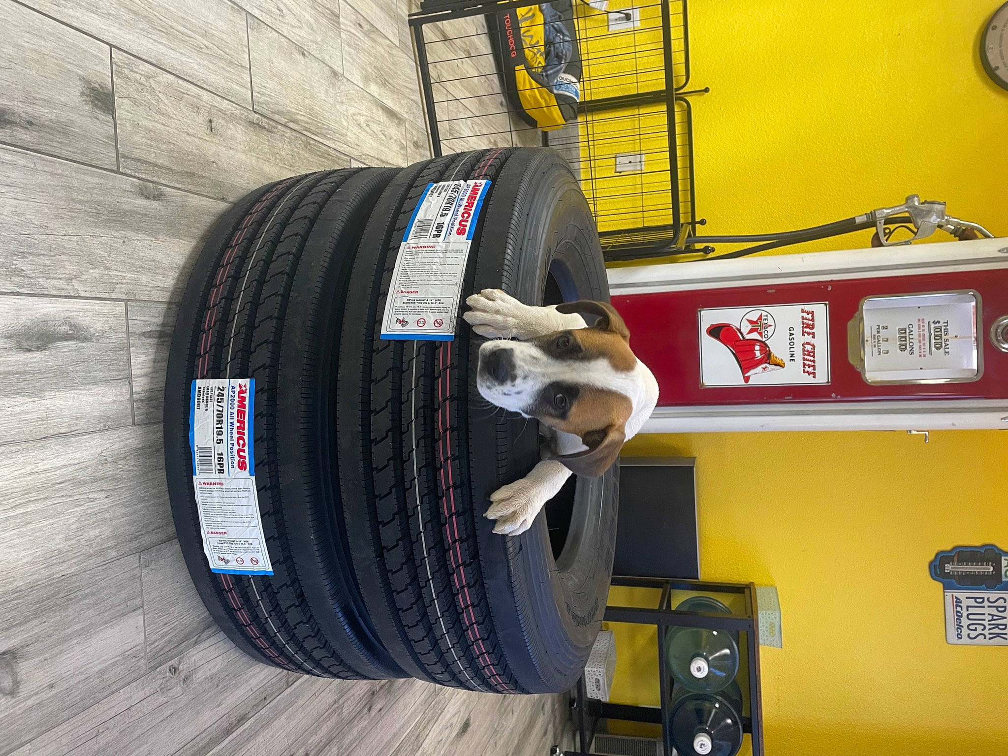 Toby is registered to the contest to win money with this photo: auto_part, automotive_design, automotive_exterior, automotive_tire, automotive_wheel_system, bicycle_tire, bicycle_wheel, bumper, fender, gas, motor_vehicle, rim, rolling, spoke, synthetic_rubber, tire, tire_care, tread, wheel, wood