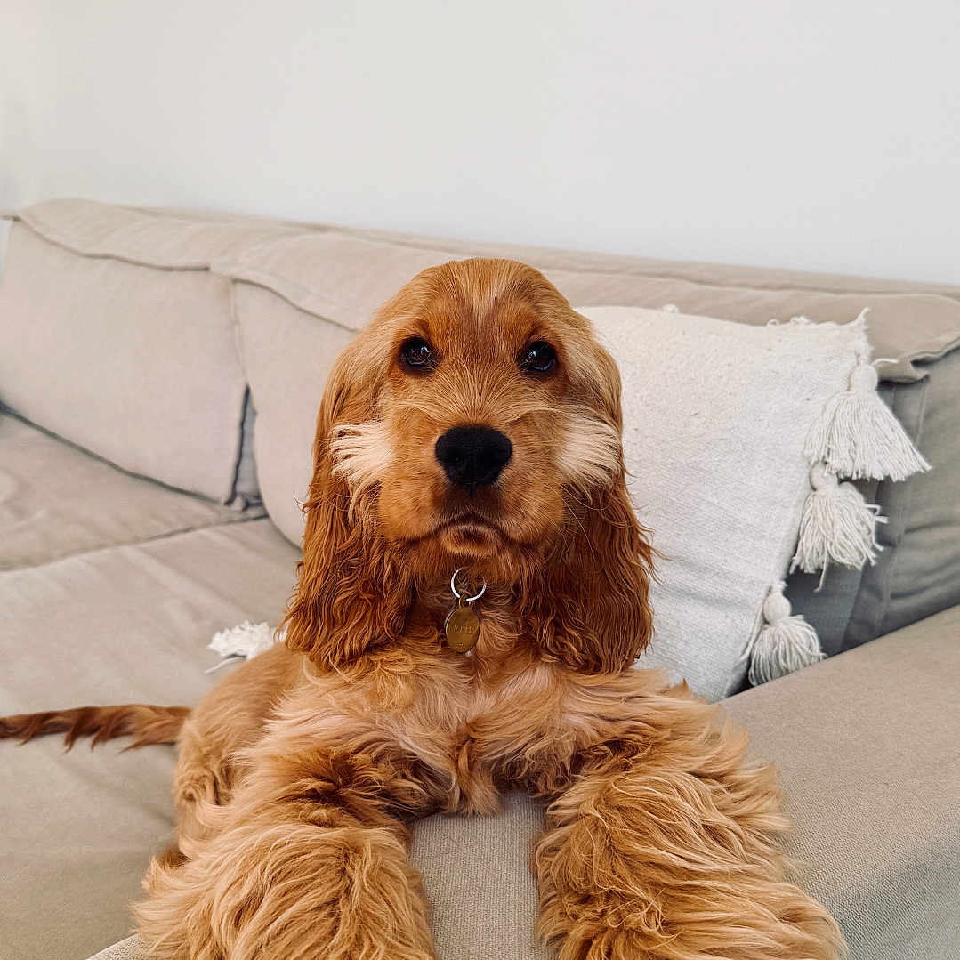 Marley