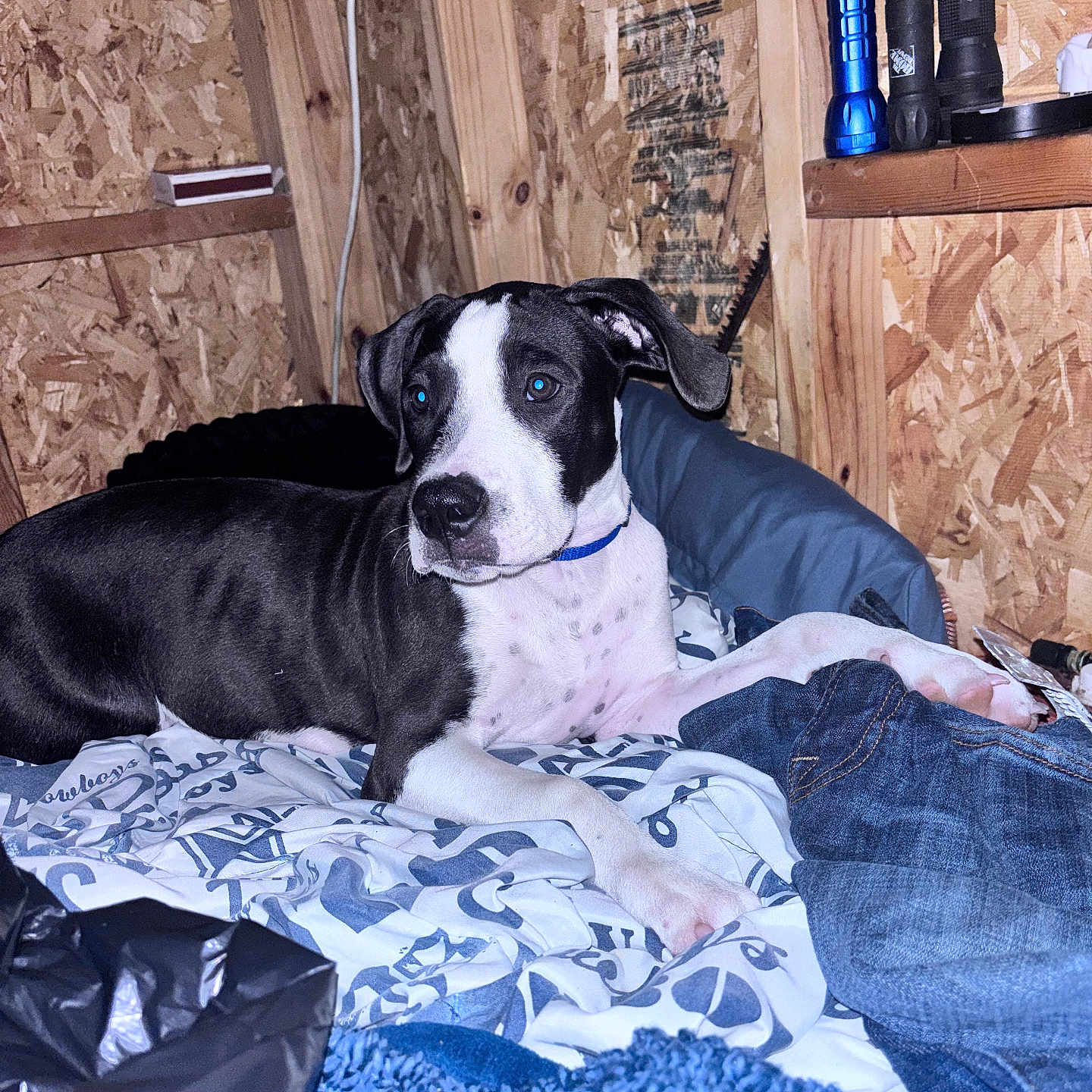 Gunner