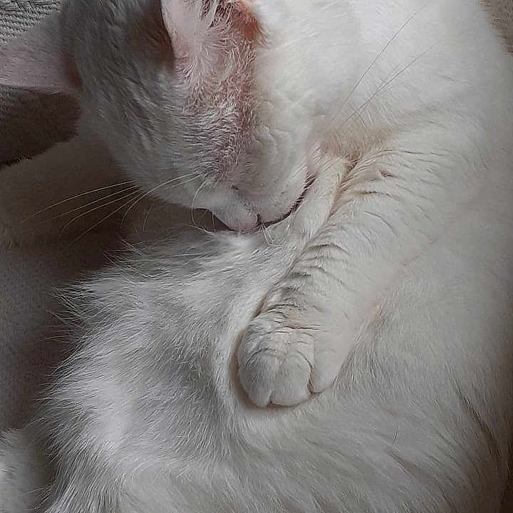 Pouding
