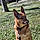 Laska