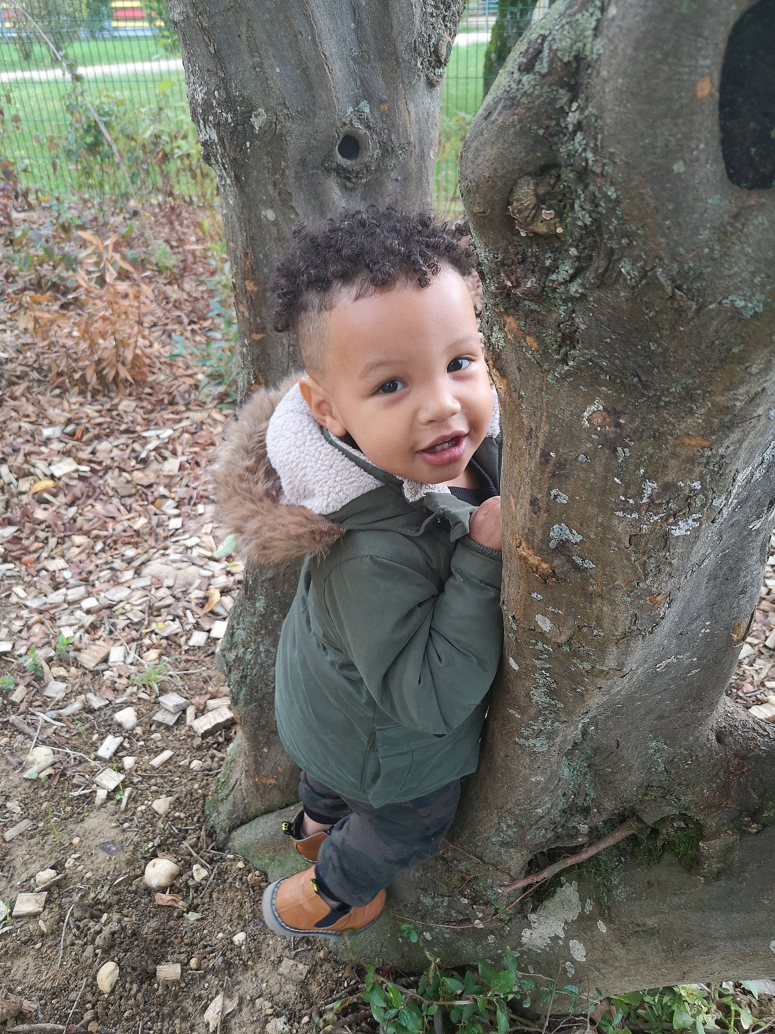 Amir participe au concours pour gagner de l'argent avec cette photo : adaptation, child, leaf, person, plant, play, skin, smile, toddler, tree, trunk