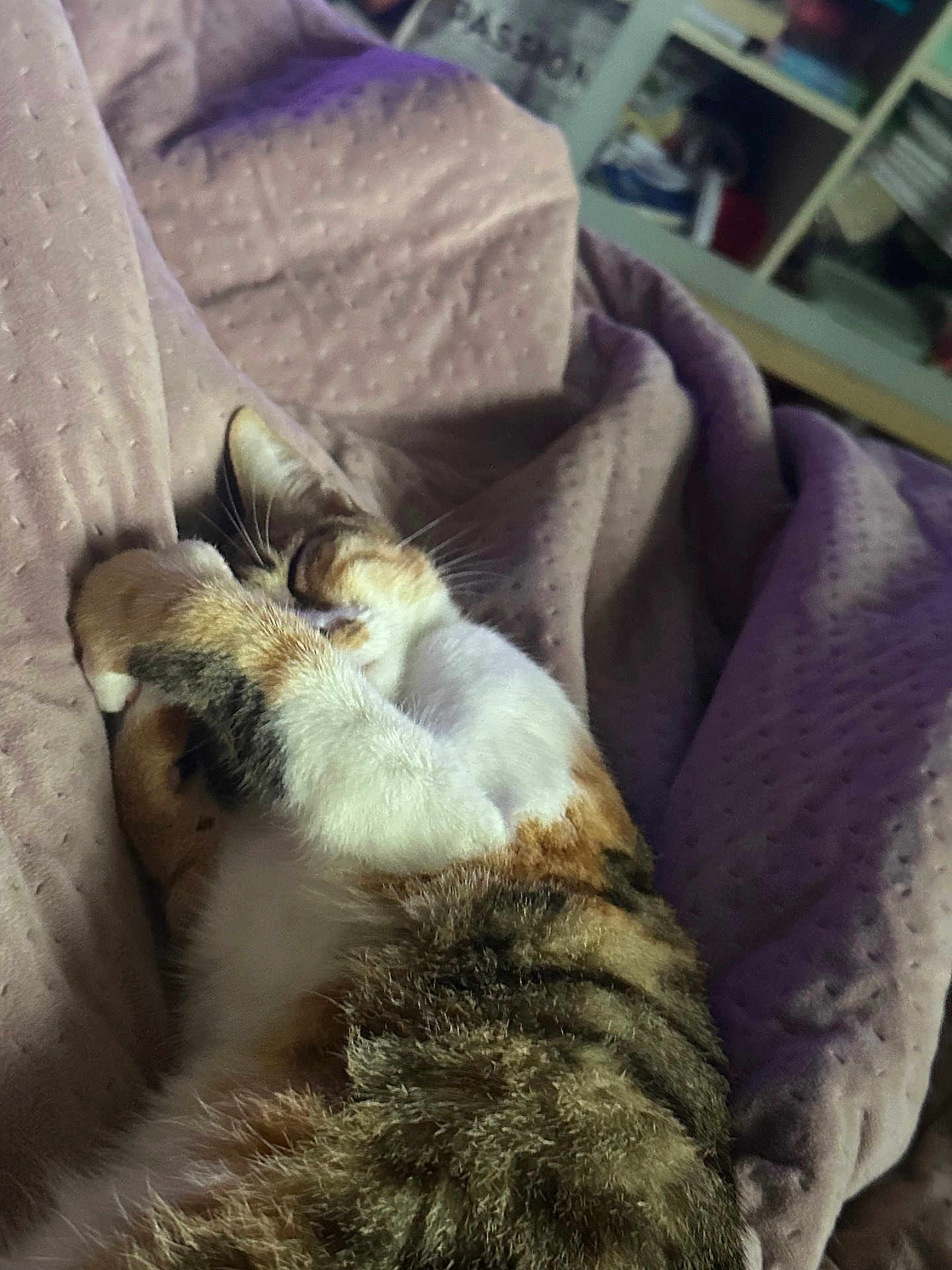 Ellie