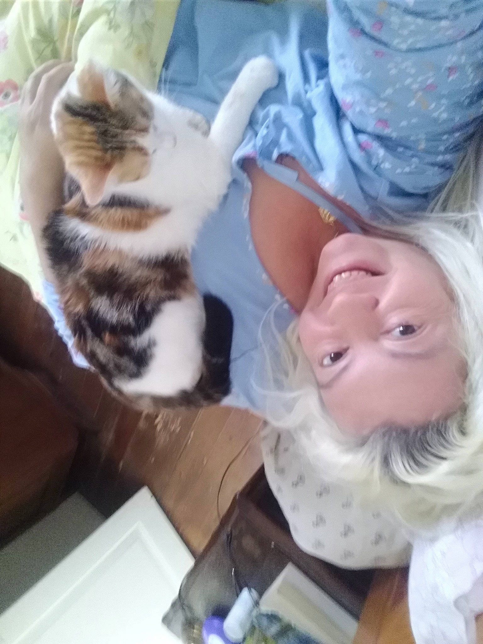 Pèpètte a rejoint le concours — aidez-le/la à gagner de superbes lots ! american_shorthair, carnivore, cat, child, ear, european_shorthair, fawn, felidae, fur, kitten, long_hair, nose, selfie, small_to_medium_sized_cats, tabby_cat, whiskers