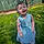 Azalea Ohler