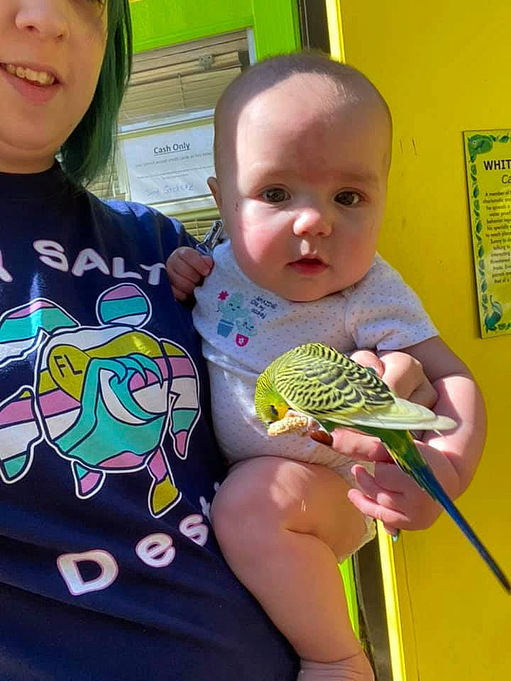 Joann is registered to the contest to win money with this photo: beak, bird, child, eye, facial_expression, finger, hair, hairstyle, head, human_body, mammal, mouth, neck, organ, parrot, people, person, plant, product, skin