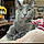 Binx