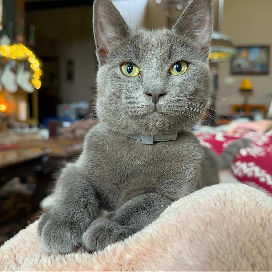 Binx