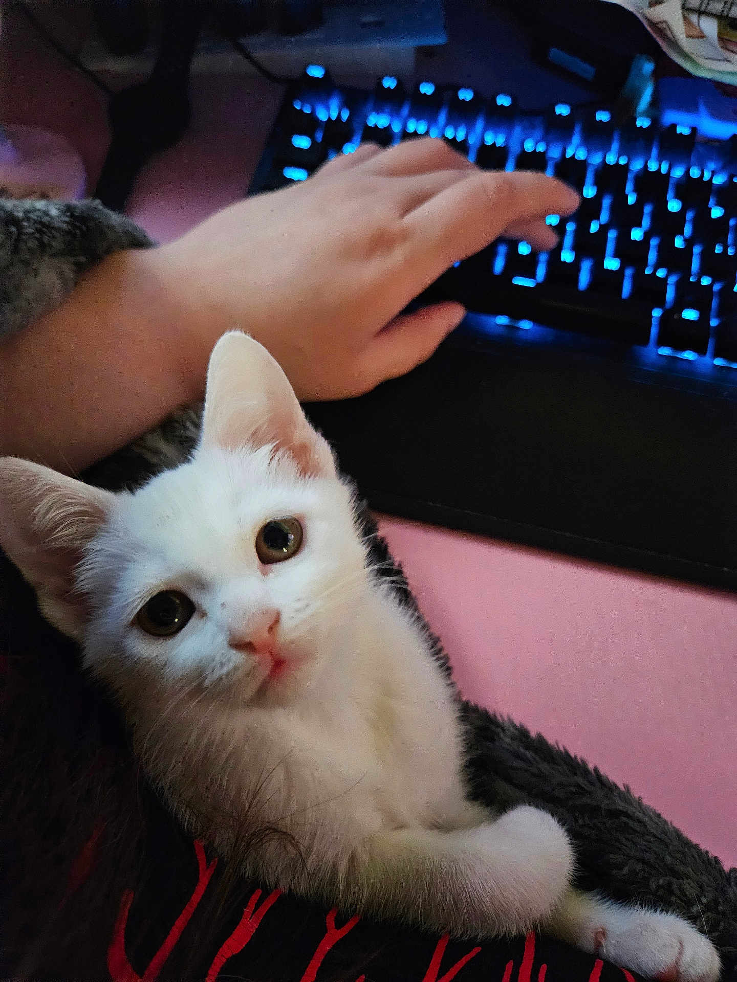 Snowball