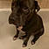 Xena Da Princess