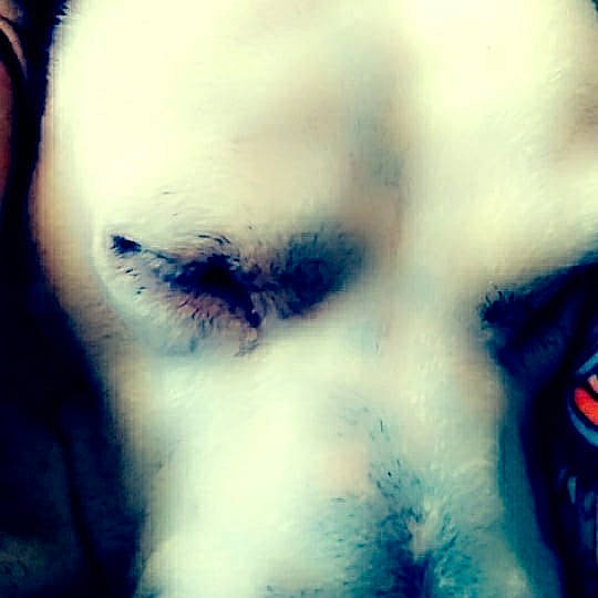 Amara Mae is registered to the contest to win money with this photo: beauty, blue, cheek, close_up, cosmetics, eye, eyebrow, eyelash, eyelash_extensions, face, forehead, head, human, human_body, iris, mouth, nose, organ, photography, skin