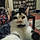 Dottie