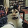 Dottie