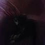 cat, dark, grainy, furniture, chair, indoor, pet, animal, resting, low_light, shadow, blur, couch, fur, cozy, relaxing, home, quiet, sleeping, paws