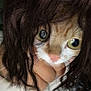 animal, animal_human, blurry, cat_face, close_up, creative, curly_hair, face, face_swap, funny, human_hair, indoor, mixed_media, person, photo_edit, portrait, quirky, surreal, weird, white_cat