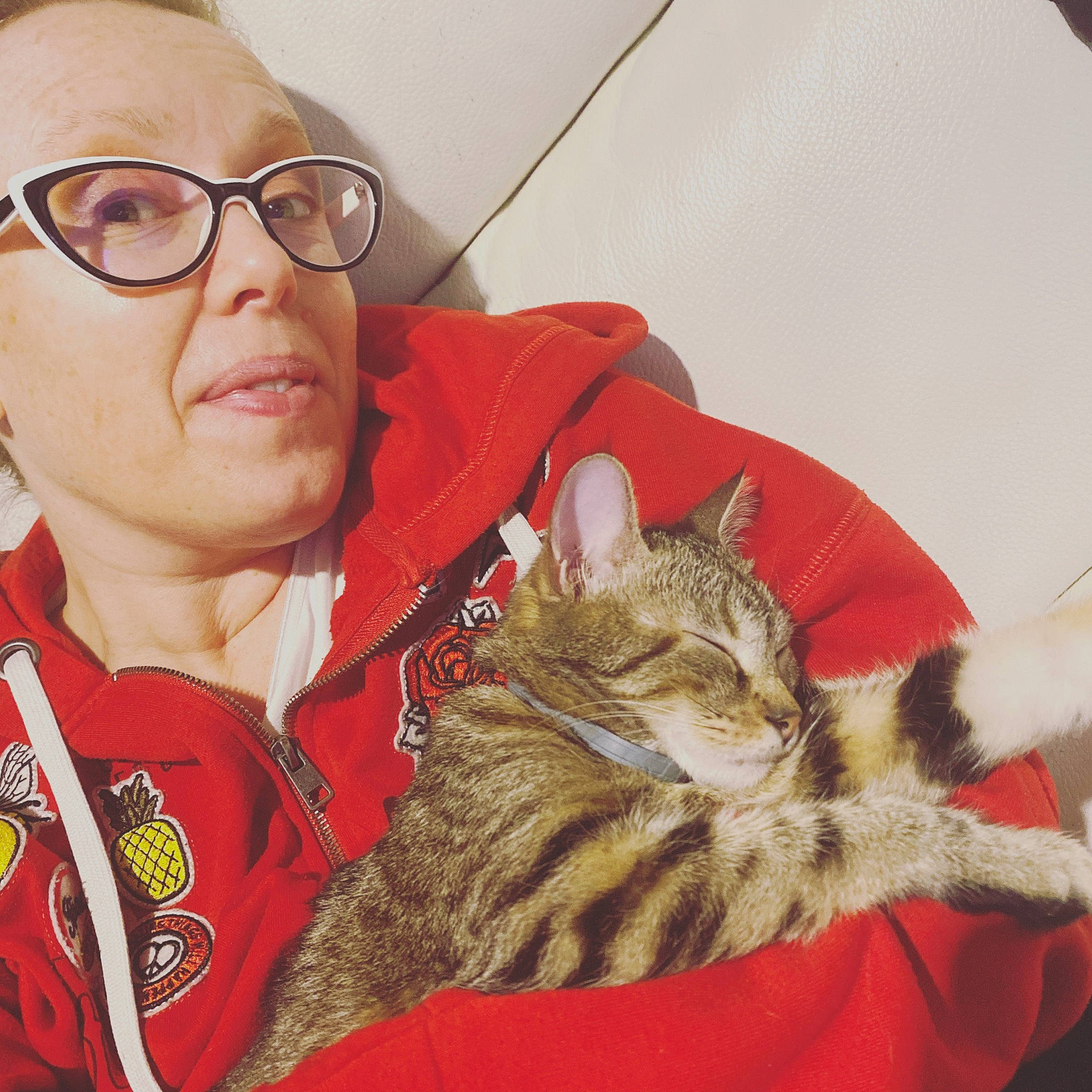 Maggie participe au concours pour gagner de l'argent avec cette photo : big_cats, carnivore, cat, claw, comfort, domestic_short_haired_cat, eyewear, fawn, felidae, fur, glasses, happy, nap, selfie, sitting, small_to_medium_sized_cats, smile, snout, vision_care, whiskers