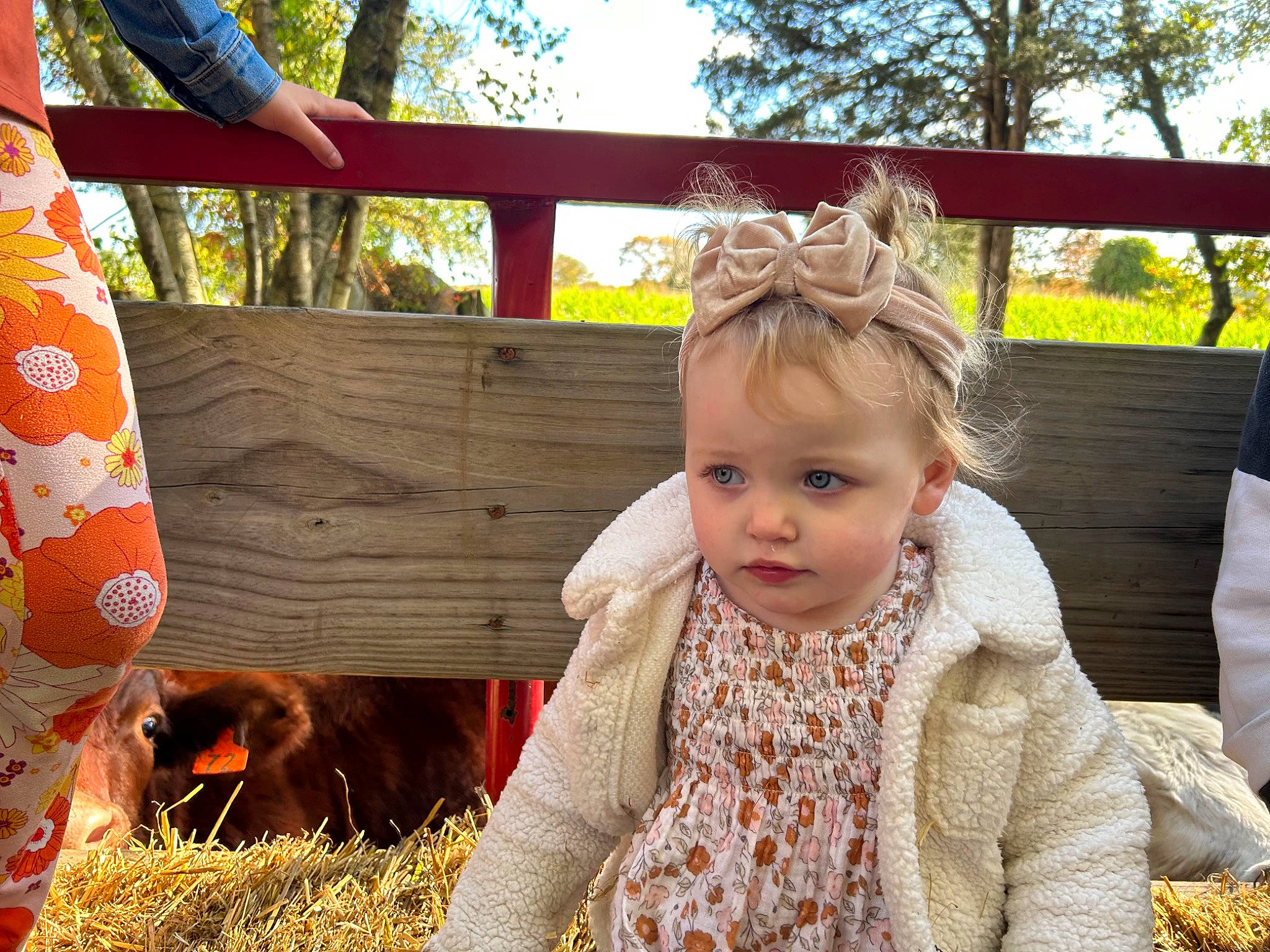 Felicity is registered to the contest to win money with this photo: baby, baby_toddler_clothing, child, fawn, fun, fur, grass, happy, hay, leisure, people_in_nature, person, portrait_photography, sitting, skin, spring, toddler, tree, vacation, wood