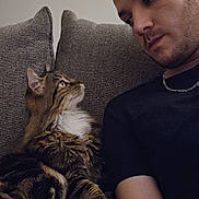 Nala a rejoint le concours — aidez-le/la à gagner de superbes lots ! cat, tabby_cat, person, man, couch, indoor, pet, furniture, looking, gaze, fur, chain_necklace, short_hair, relaxed, sitting, closeup, companion, home, casual_clothing, interaction