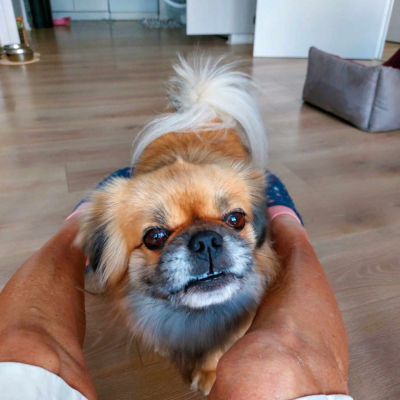 Pablo