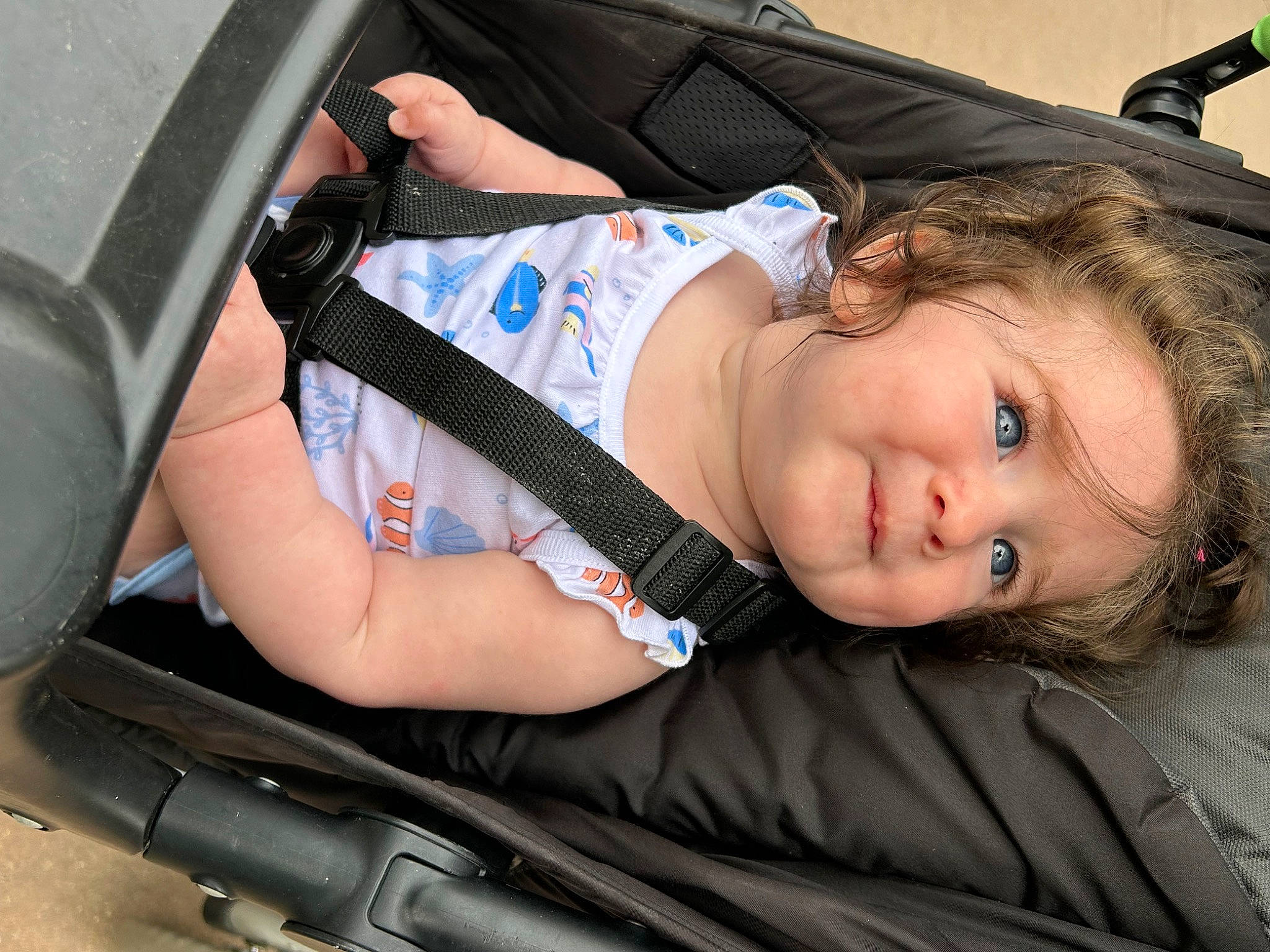 Athena joined the competition — help win amazing prizes! air_gun, auto_part, automotive_exterior, baby_carriage, baby_products, bag, bumper, car_seat, child, comfort, family_car, grass, joy, luxury_vehicle, motor_vehicle, person, sitting, toddler, tree, vehicle
