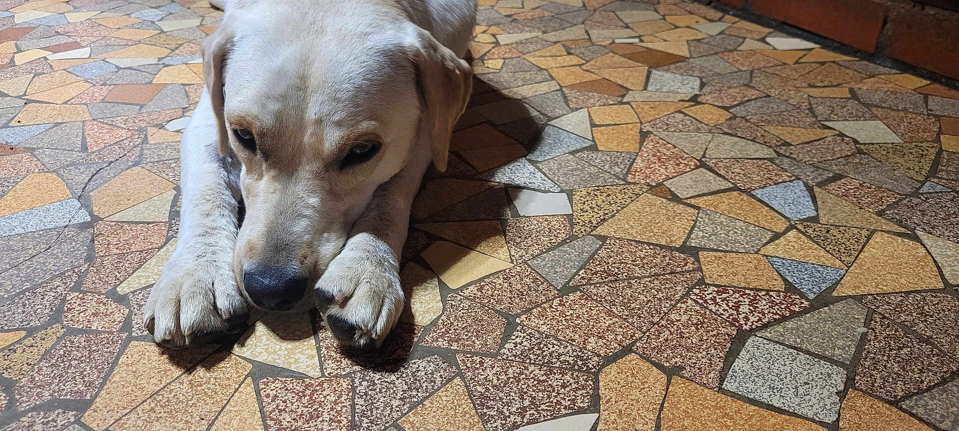 Lolita