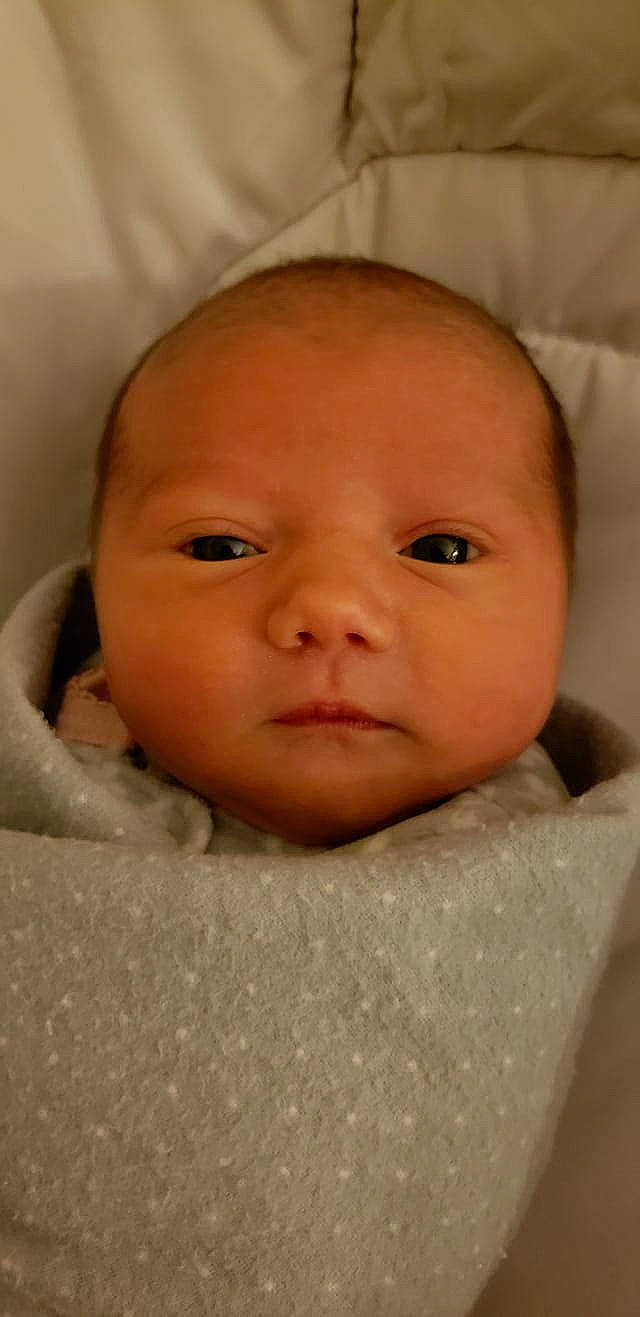 Jaylee joined the competition — help win amazing prizes! baby, cheek, child, chin, close_up, eye, eyebrow, face, forehead, head, iris, lip, mouth, nose, person, skin, toddler