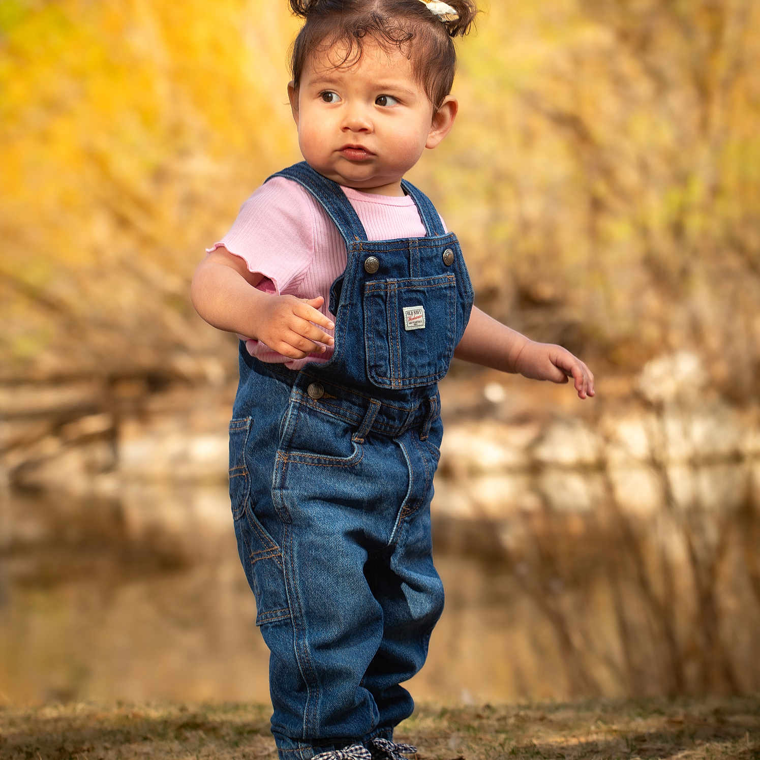 Maya is registered to the contest to win money with this photo: toddler, child, outdoor, grass, denim_overalls, pink_shirt, pigtails, curly_hair, shoes, standing, nature, autumn, blurred_background, young_child, portrait, casual_clothing, daylight, cute, person, expression