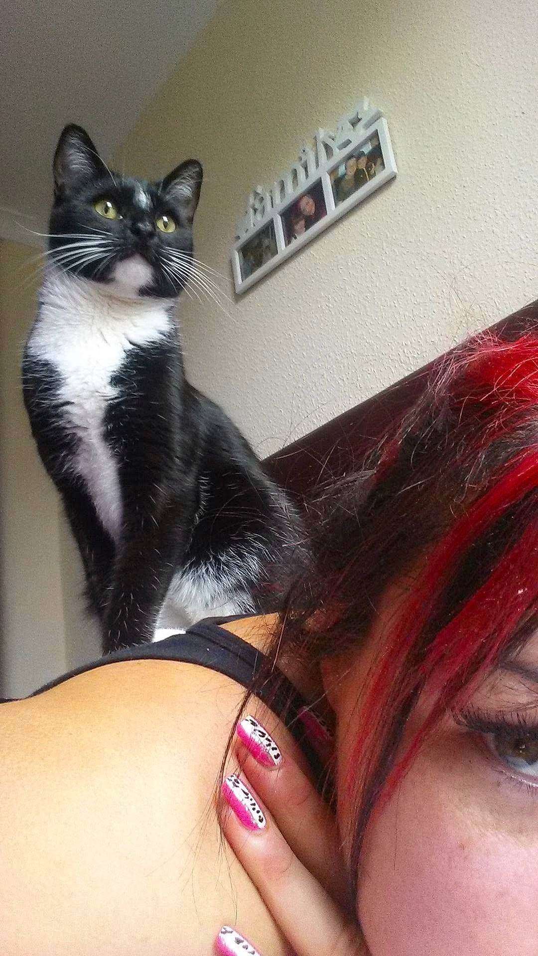 Mavis is registered to the contest to win money with this photo: arm, black_hair, carnivore, cat, eye, eyelash, felidae, foot, hair, hand, human_body, human_leg, leg, nail, organ, small_to_medium_sized_cats, tail, thigh, whiskers, wrist