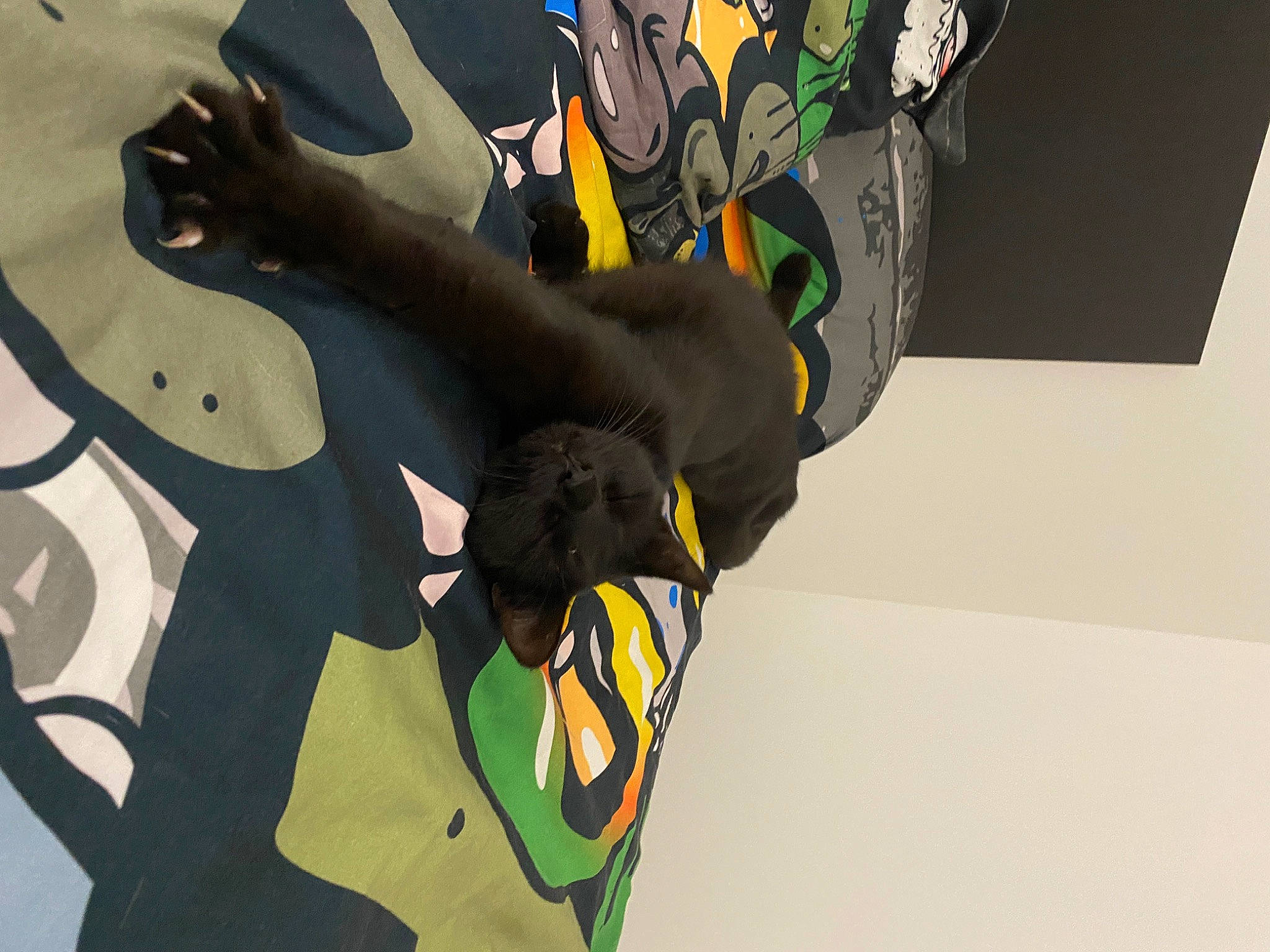 Nala participe au concours pour gagner de l'argent avec cette photo : adventure, animation, art, automotive_design, fashion_accessory, fictional_character, font, gesture, graphic_design, graphics, pattern, personal_protective_equipment, sleeve, sportswear, t_shirt, visual_arts, wing