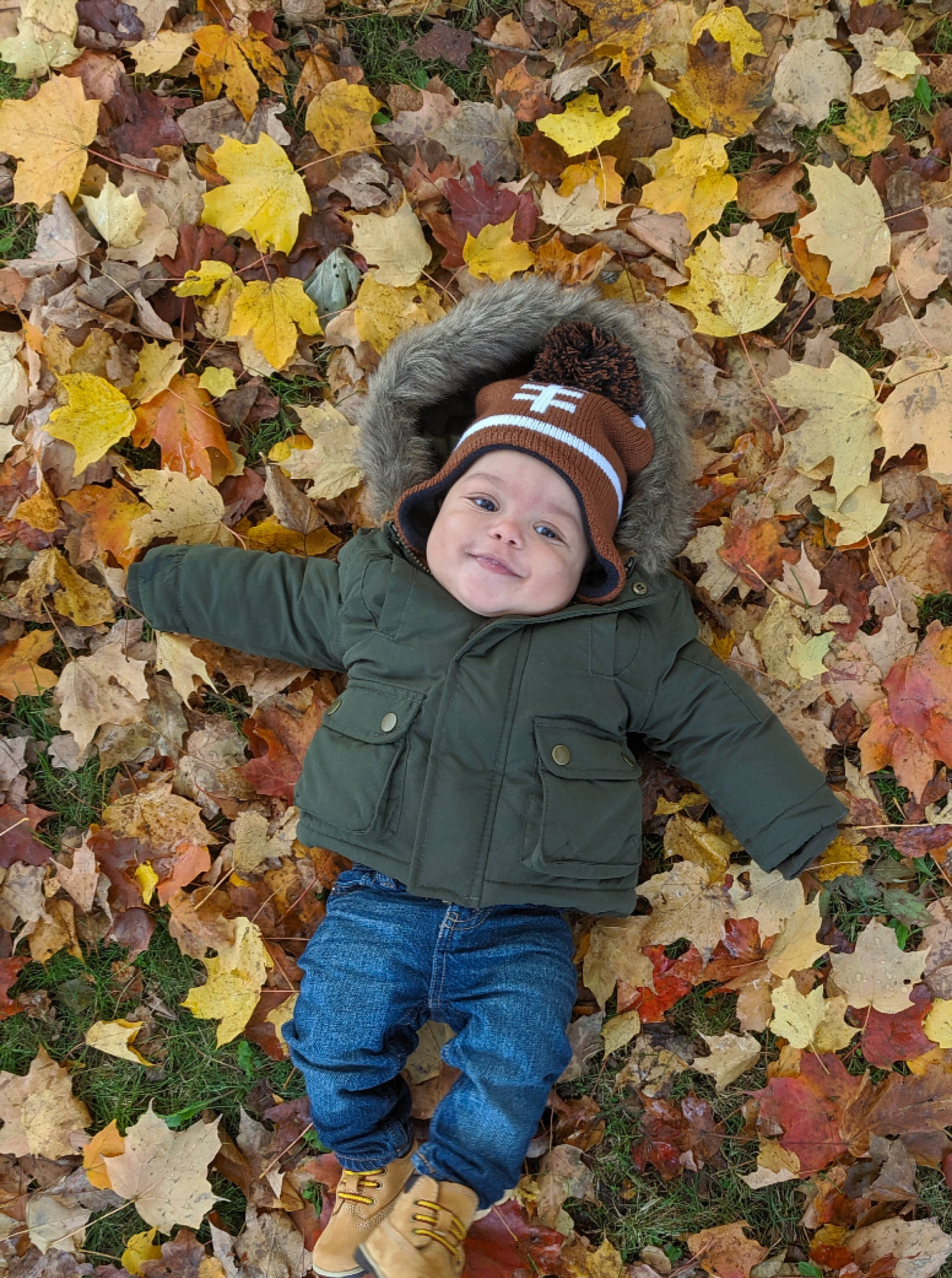 Kellen joined the competition — help win amazing prizes! autumn, child, deciduous, leaf, person, plant, toddler