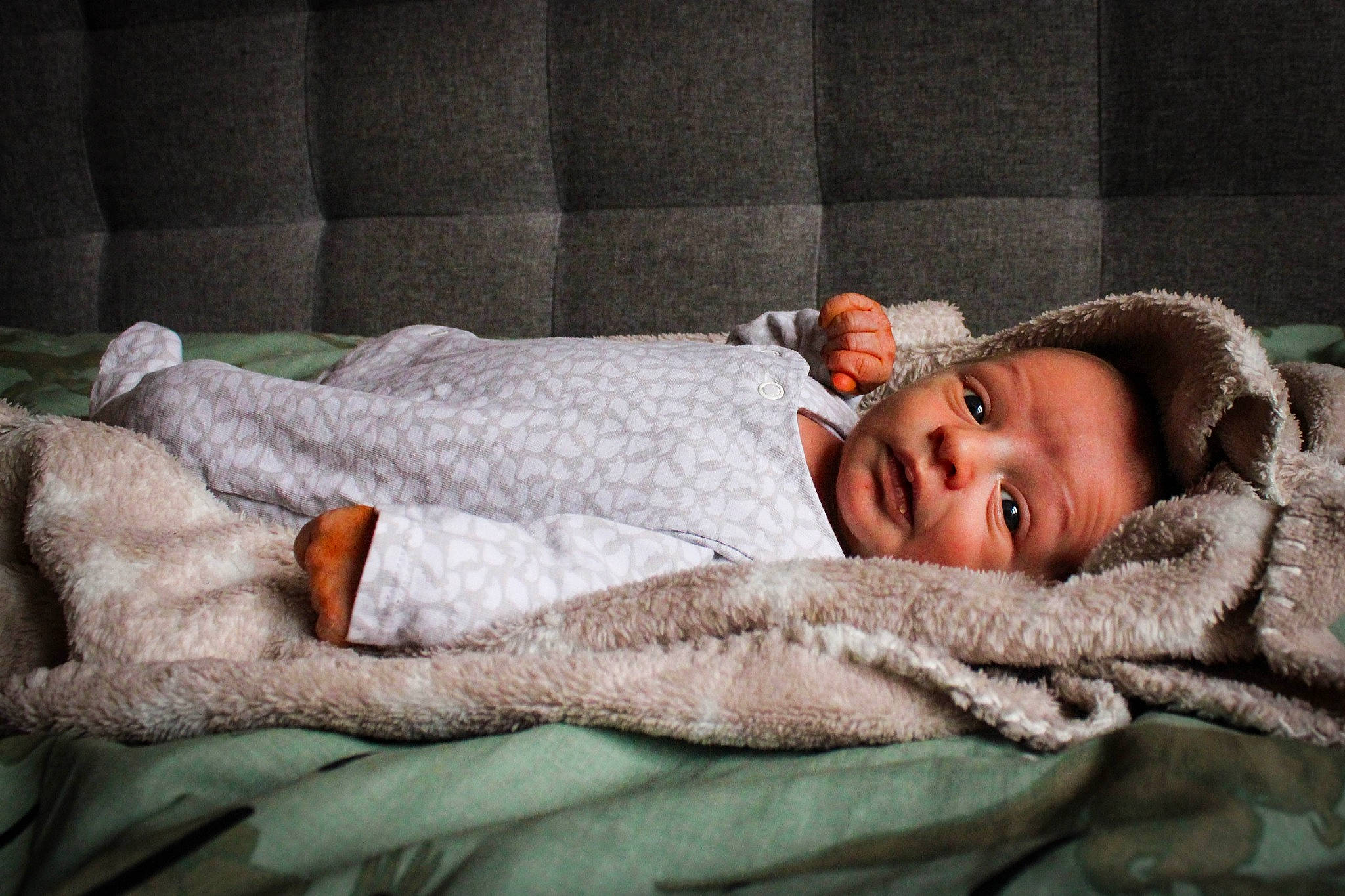 Ishâq participe au concours pour gagner de l'argent avec cette photo : baby, bedding, bedtime, blanket, cheek, child, comfort, couch, fur, linens, nap, person, portrait_photography, room, sleep, textile, toddler, wood