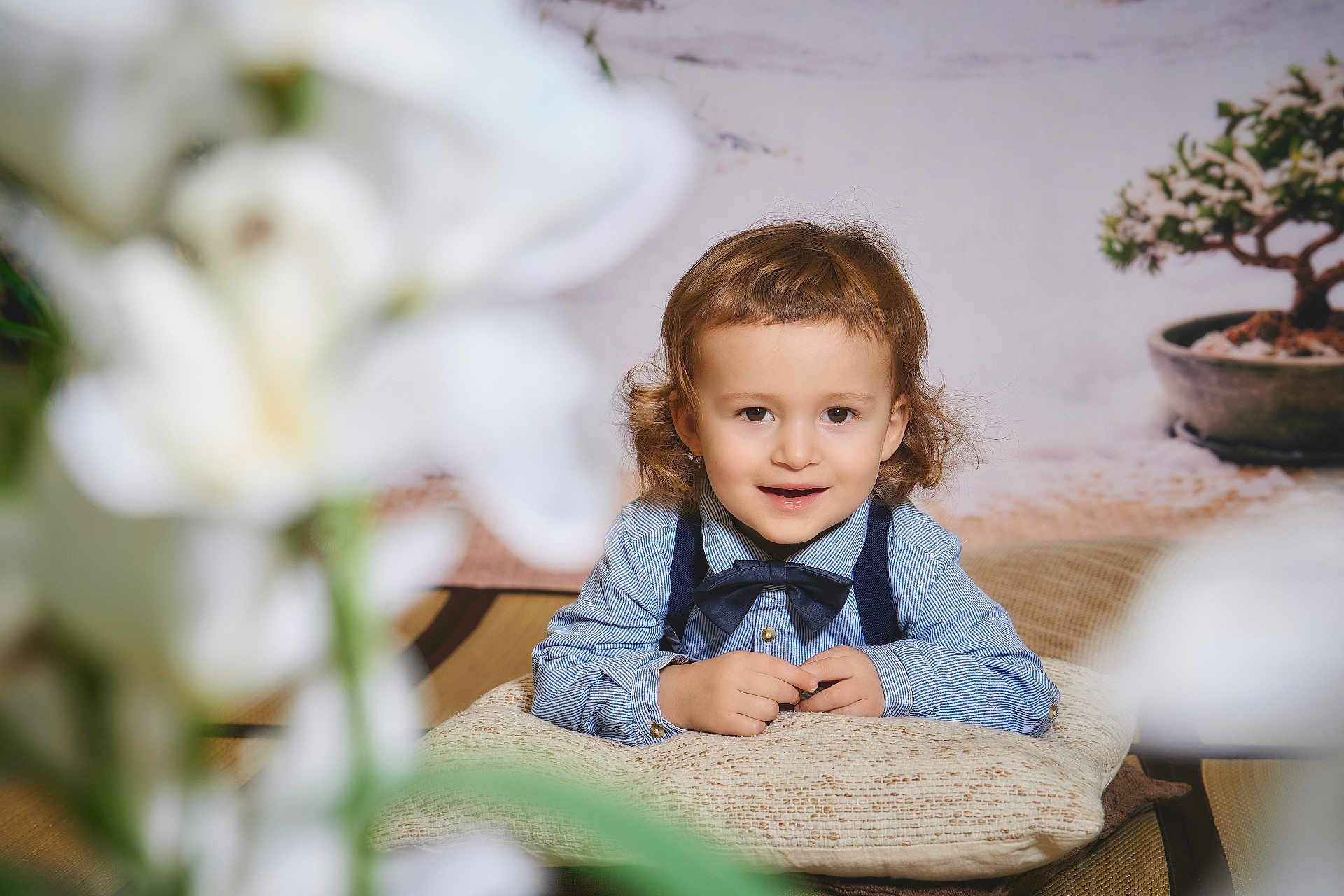 Leonard a rejoint le concours — aidez-le/la à gagner de superbes lots ! child, toddler, bow_tie, striped_shirt, suspenders, pillow, smile, face, portrait, indoor, plant, bonsai, flower_blur, hands, curly_hair, eyes, cozy, cute, cushion, photography
