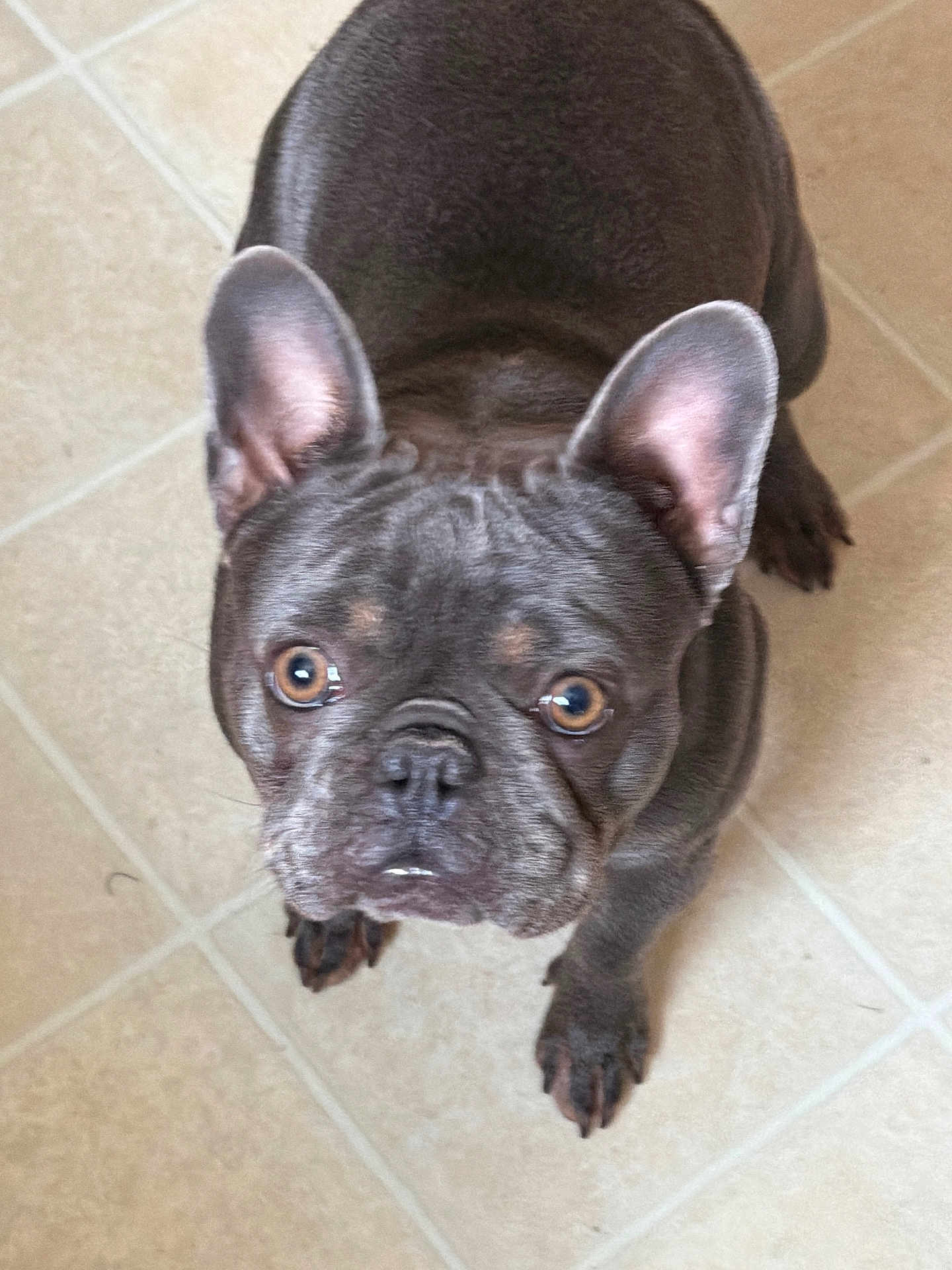Rosie