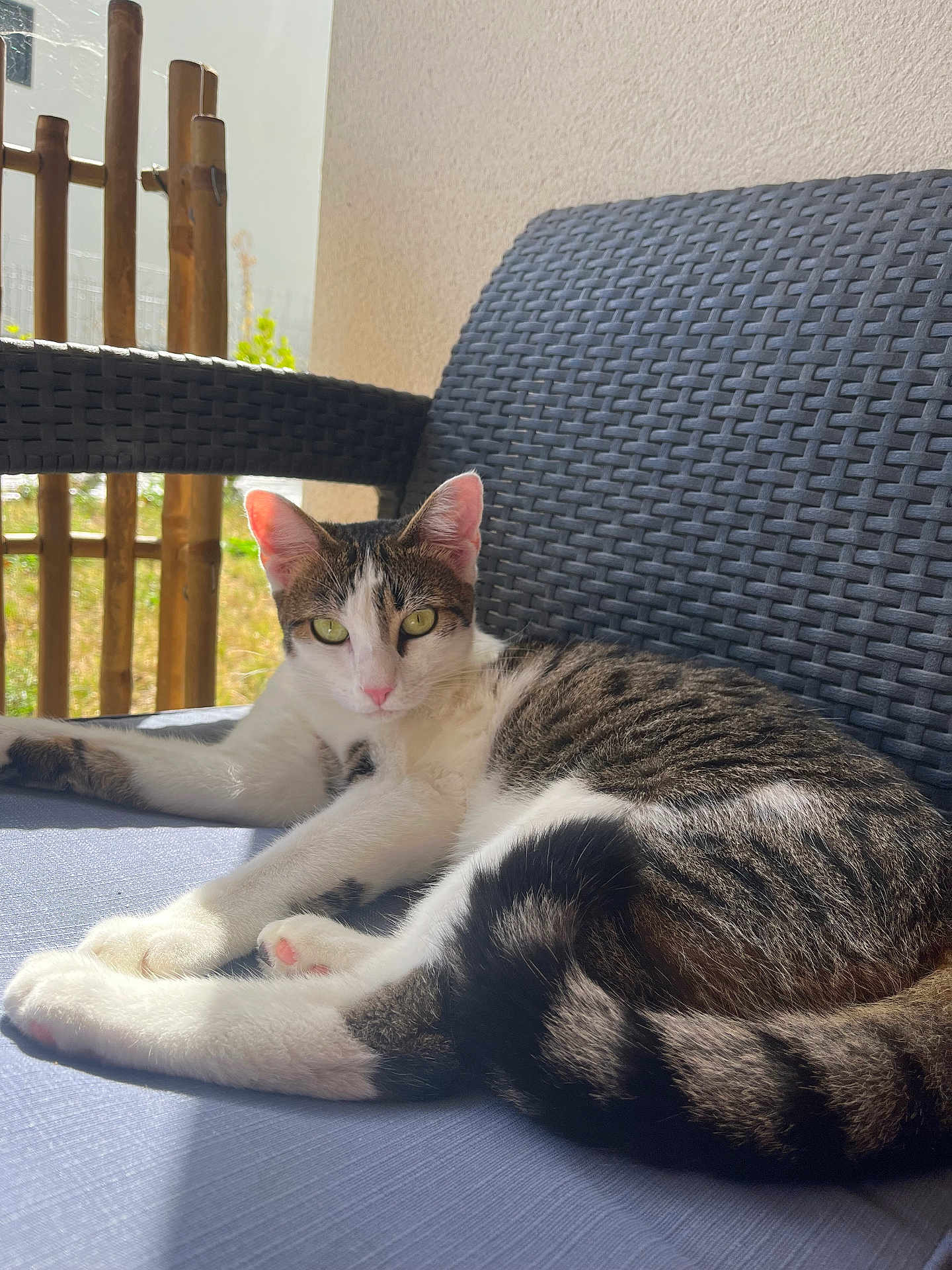 Zeus
